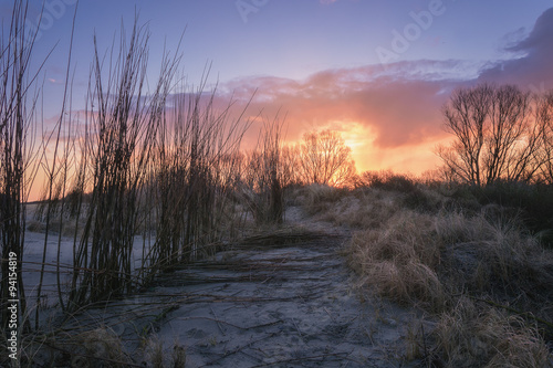 Morning Light in Holland