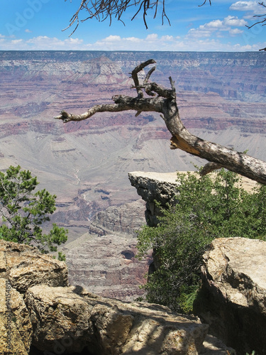 Red rock landscape and dead tree in Grand Canyon National Park  Arizona  United States on a cloudy day in July.