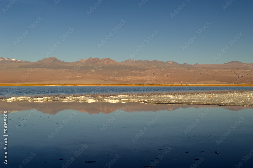 Cejas lagoon, Atacama desert, Chile Cejas lagoon, Atacama desert, Chile