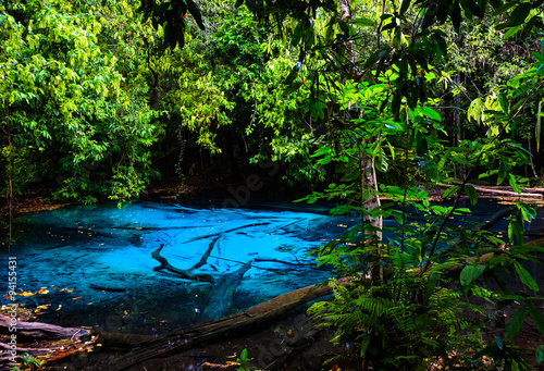 Amazing nature  Blue pond in the jungle