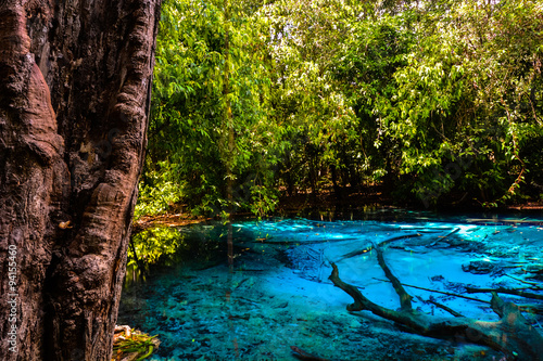 Amazing nature  Blue pond in the jungle