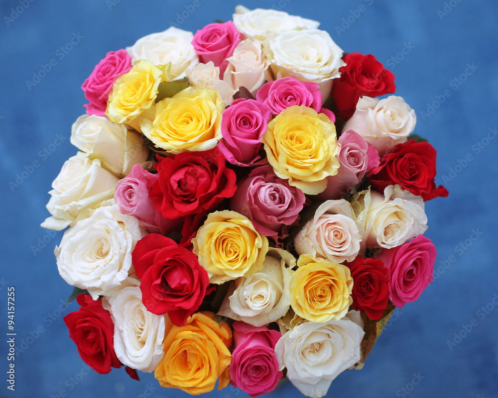 multicolored roses bouquet of flowers isolated on blue backgroun multicolored roses bouquet of flowers isolated on blue backgroun