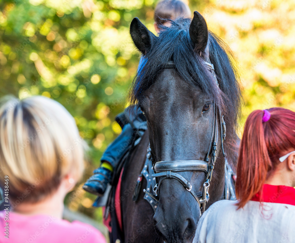 Obraz premium Horse among people. The horse carries somebody on its horseback. 