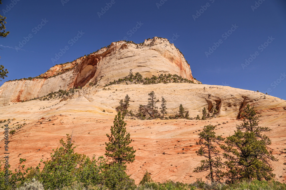 Fototapeta premium beeindruckende rot weiße Felsformationen im Westen Amerikas