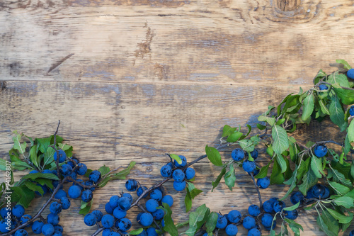 blackthorn branch with blue berries on a wooden background