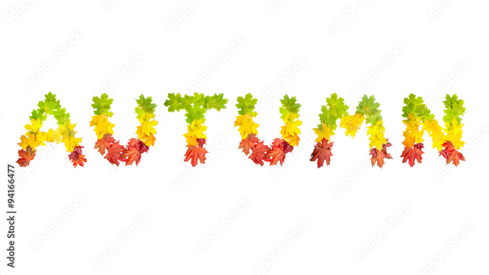 word AUTUMN made of autumn maple leaves in bright colors