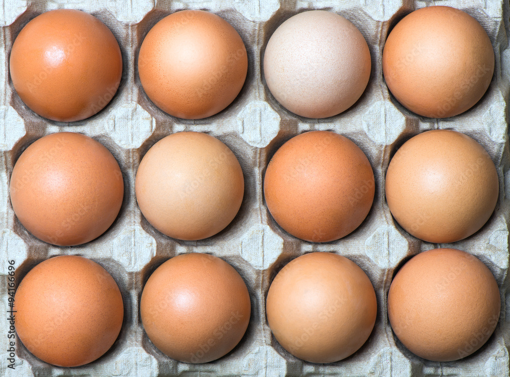 chicken eggs in the tray chicken eggs in the tray