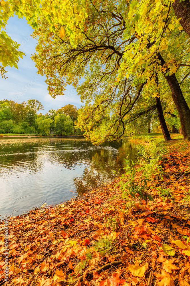 Beautiful autumn park on Yelagin Island