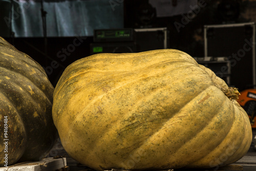 Giant homegrow pumpkin photo