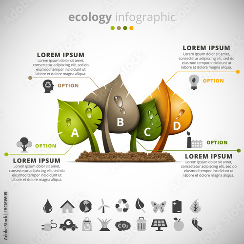 Ecology Infographic
