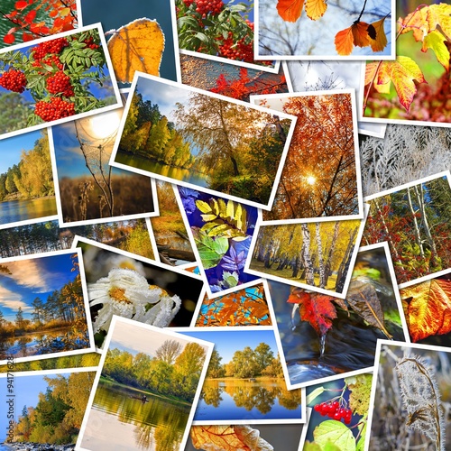 Коллаж на тему осенний пейзаж. Россия, Сибирь, Новосибирская область