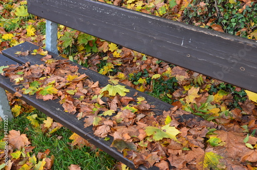 Herbstmotiv - Holzbank im Park - Blätterfall 