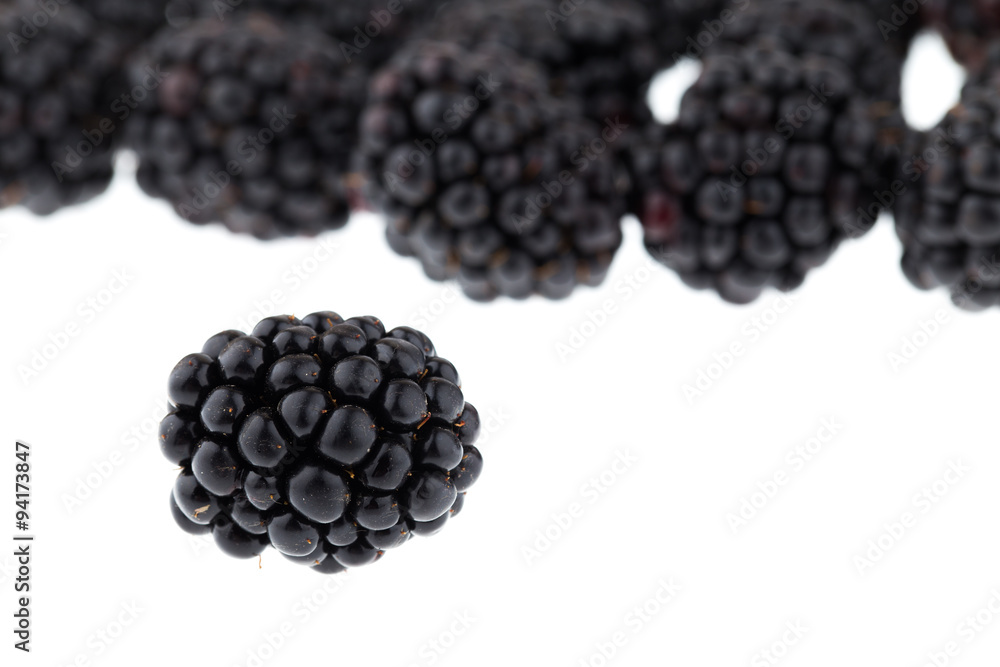 Fresh blackberry on white background Fresh blackberry on white background
