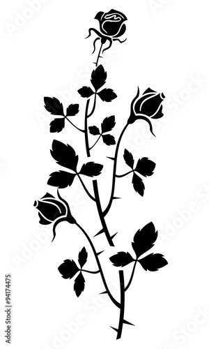 Rose silhouette