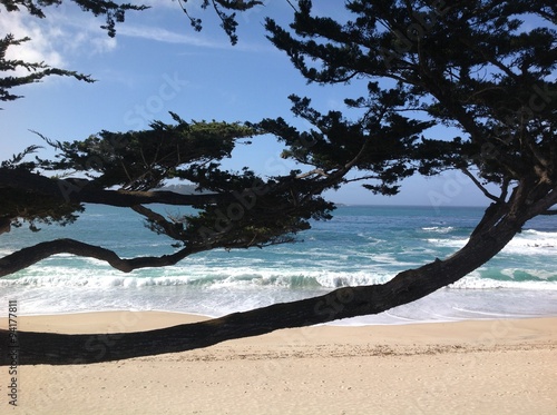 Bilde på lerret Carmel by the Sea