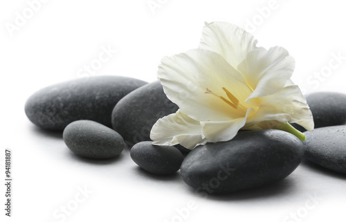 Spa stones with flower on light background