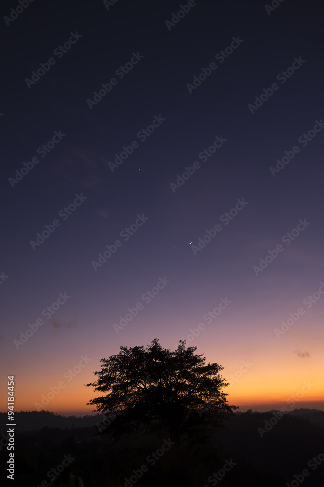 Silhouette tree and moon at sunrise Kintamani Bali ,Indonesia.