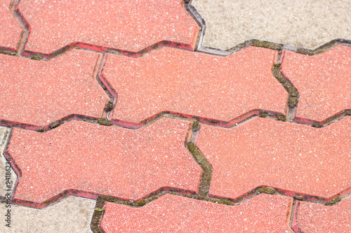Closeup of paving stone with moss