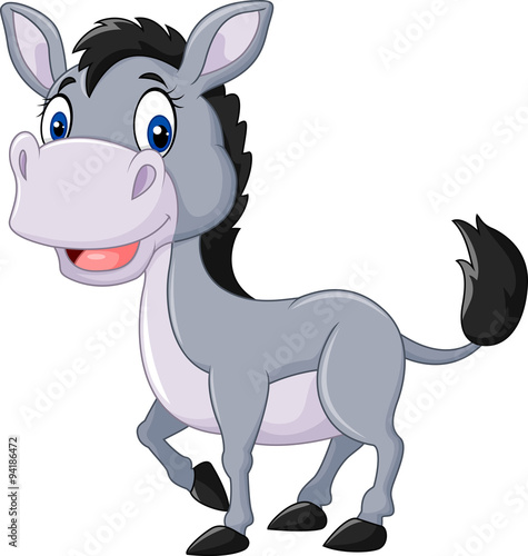 Cute baby donkey isolated on white background
