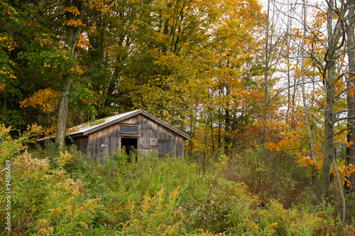 Fall Cabin