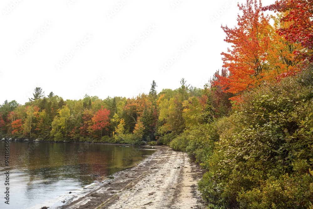 Fall foliage on shoreline of Sturdevant Pond in Magalloway, Main