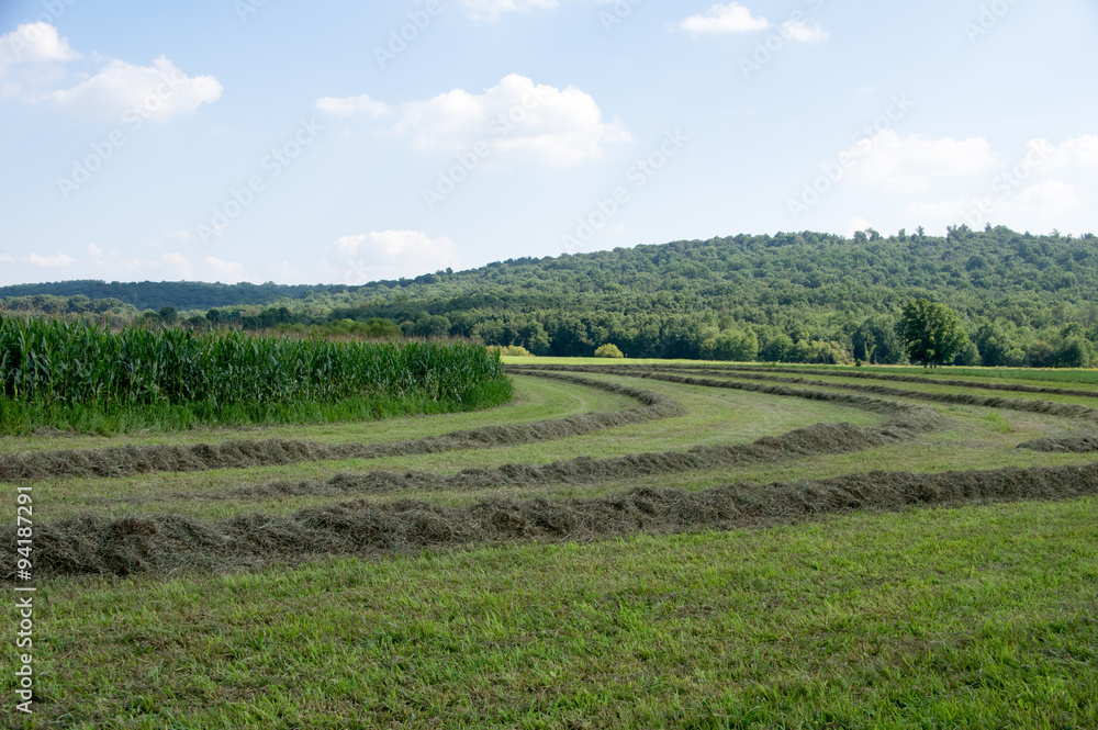 Rural Country Farmland