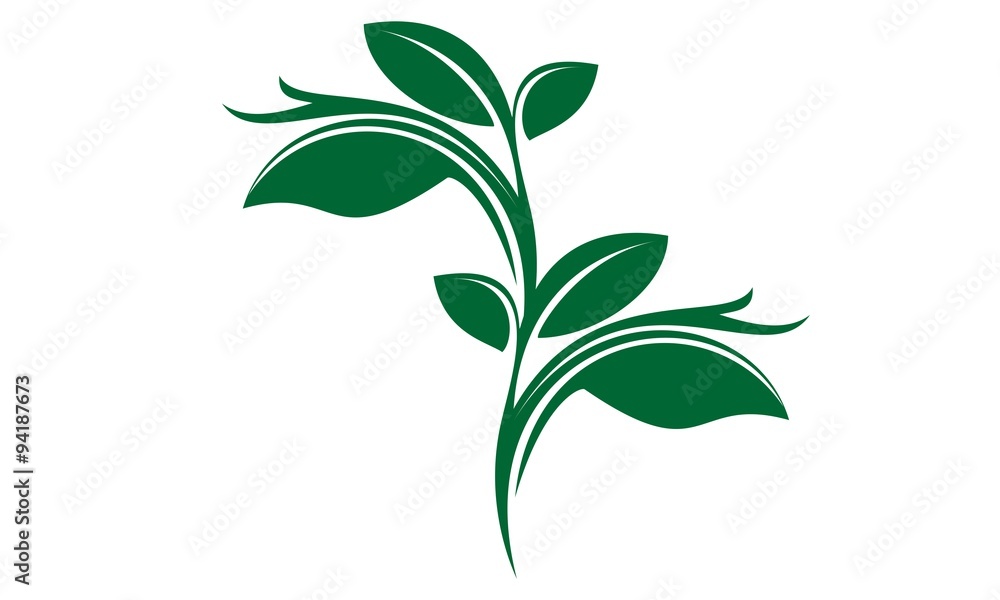 leaf leaf