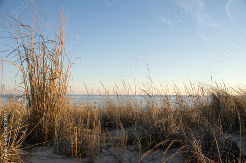 Sand Dunes