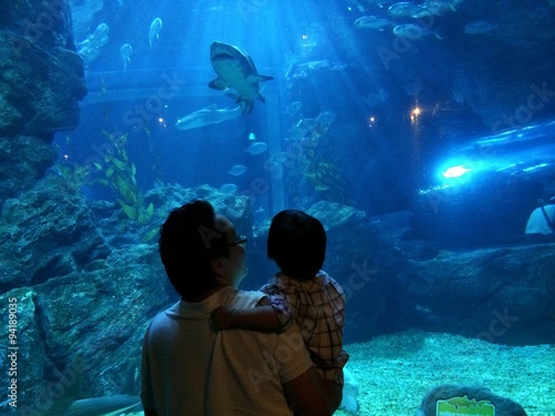 Canvas Print life is learning