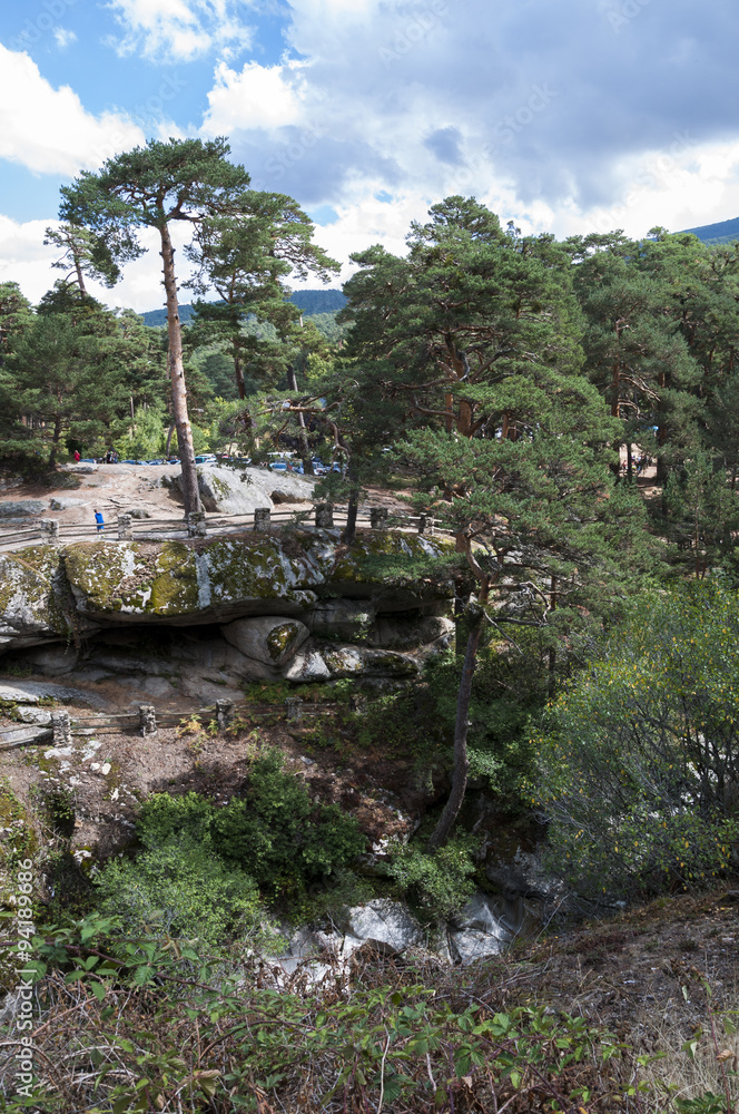 Obraz premium Scots pine forest next to the river Eresma on its course through Boca del Asno, Segovia Province, Spain, a recreational area in Guadarrama Mountains