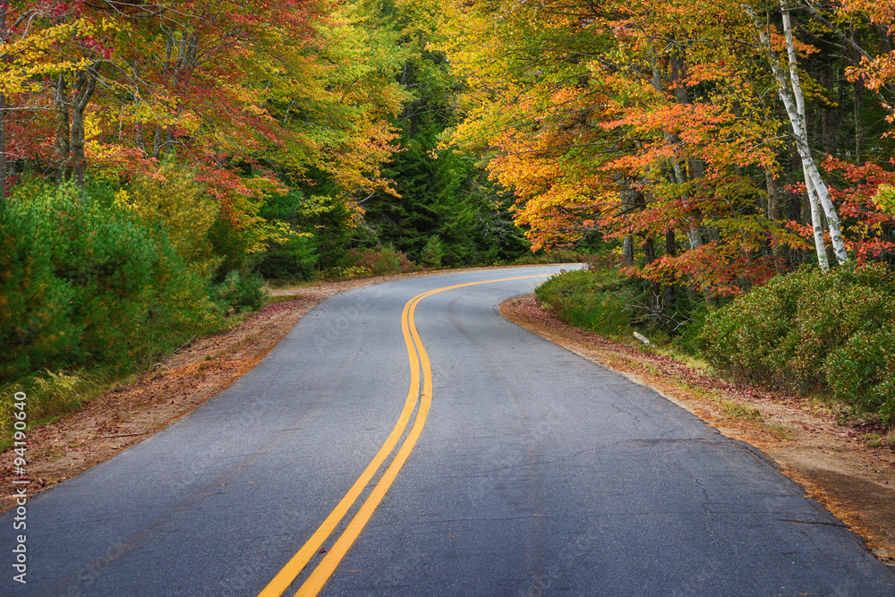 Winding road through autumn trees in New England Winding road through autumn trees in New England