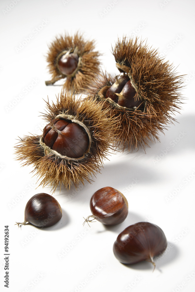 Chestnuts and Urchins