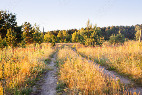 Spring summer background - rural road in green grass field meado