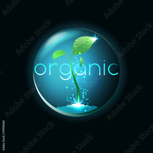 Organic food