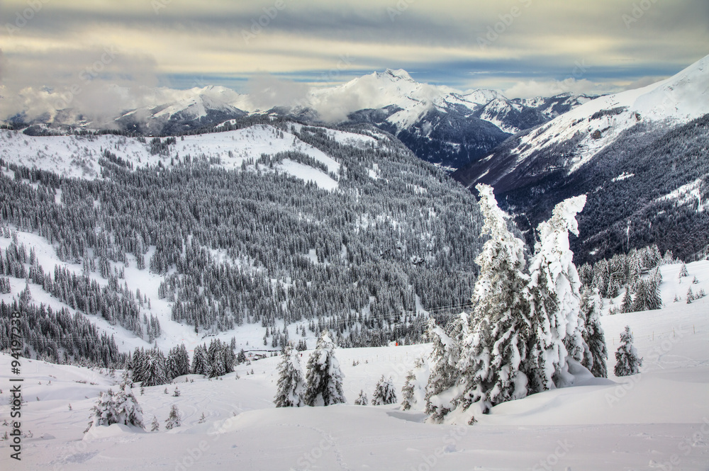 Beautiful fresh powder landscape with pine trees in Les Portes du Soleil in the European Alps. HDR