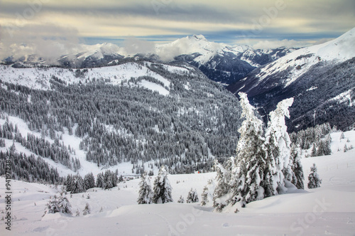 Beautiful fresh powder landscape with pine trees in Les Portes du Soleil in the European Alps. HDR © dennisvdwater