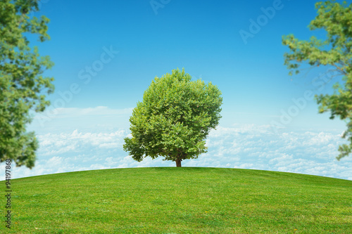 Landscape with tree in center