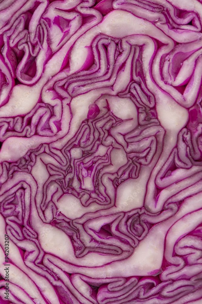 Close up view of a purple cabbage Close up view of a purple cabbage