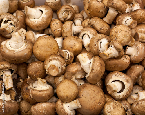 Mushrooms background at market