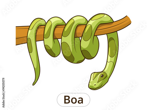 Boa snake cartoon vector illustration