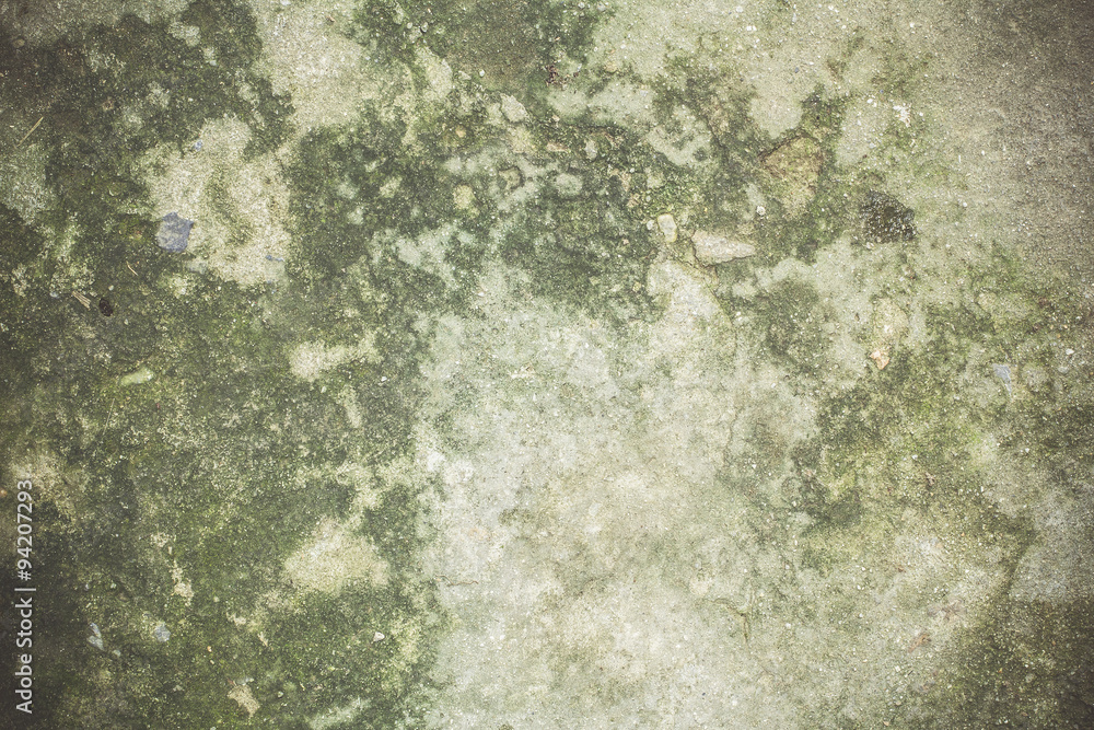 Fototapeta premium concrete texture and background