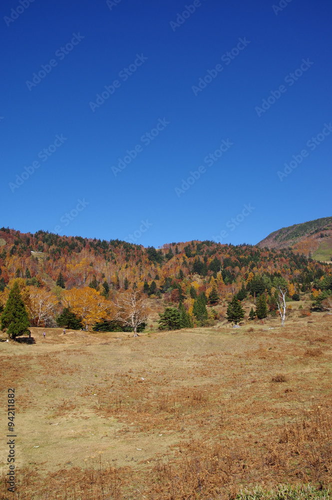 秋の山田牧場