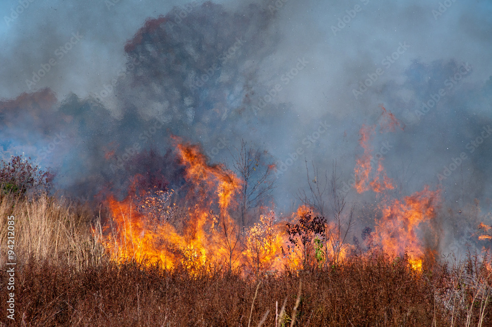Clermont, Kentucky – October 22, 2015: Firefighters manage a controlled burn at Bernheim Arboretum and Research Forest in Clermont, Kentucky, on October 22, 2015.
