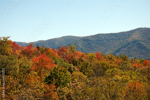 A fall view from raven rock on Pine Mountain.