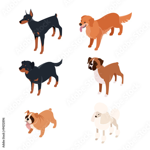 Collection of isometric dogs1