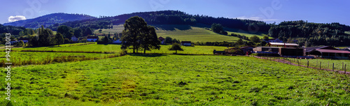 Beautiful colorized autumnal hills and meadows in Alsace