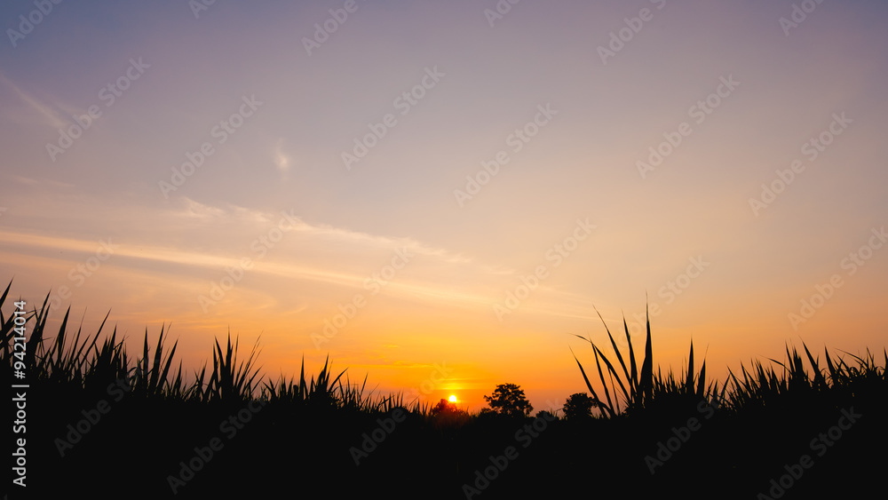 beautiful sunset and field the mountain , sky color orange beautiful sunset and field the mountain , sky color orange