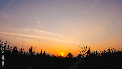 beautiful sunset and field the mountain , sky color orange