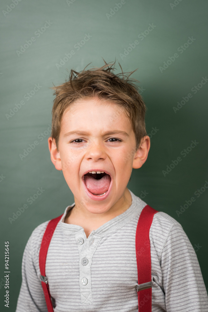 kleiner junge schreit laut kleiner junge schreit laut