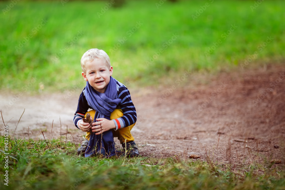 autumn baby boy playing with cones, collect cones in the woods autumn baby boy playing with cones, collect cones in the woods